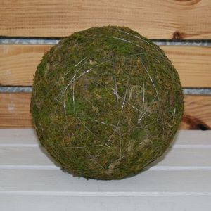 Moosball 