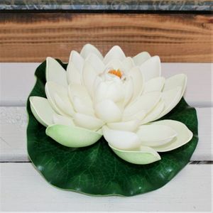 Seerose