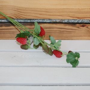 Beerenzweig rot