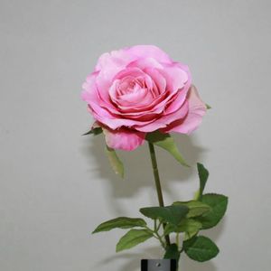 Rose pink