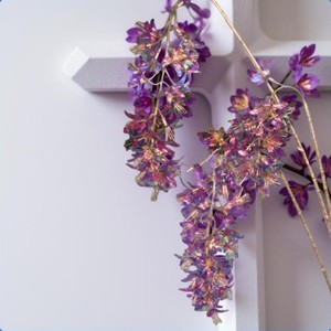 Wisteriazweig irisierend